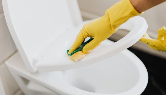 cleaning toilet seat - Elizabeth Drain and Plumbing Services | Elizabeth, NJ