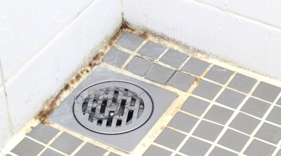 mold on a bathroom drainage - Elizabeth Drain and Plumbing Services | Elizabeth, NJ